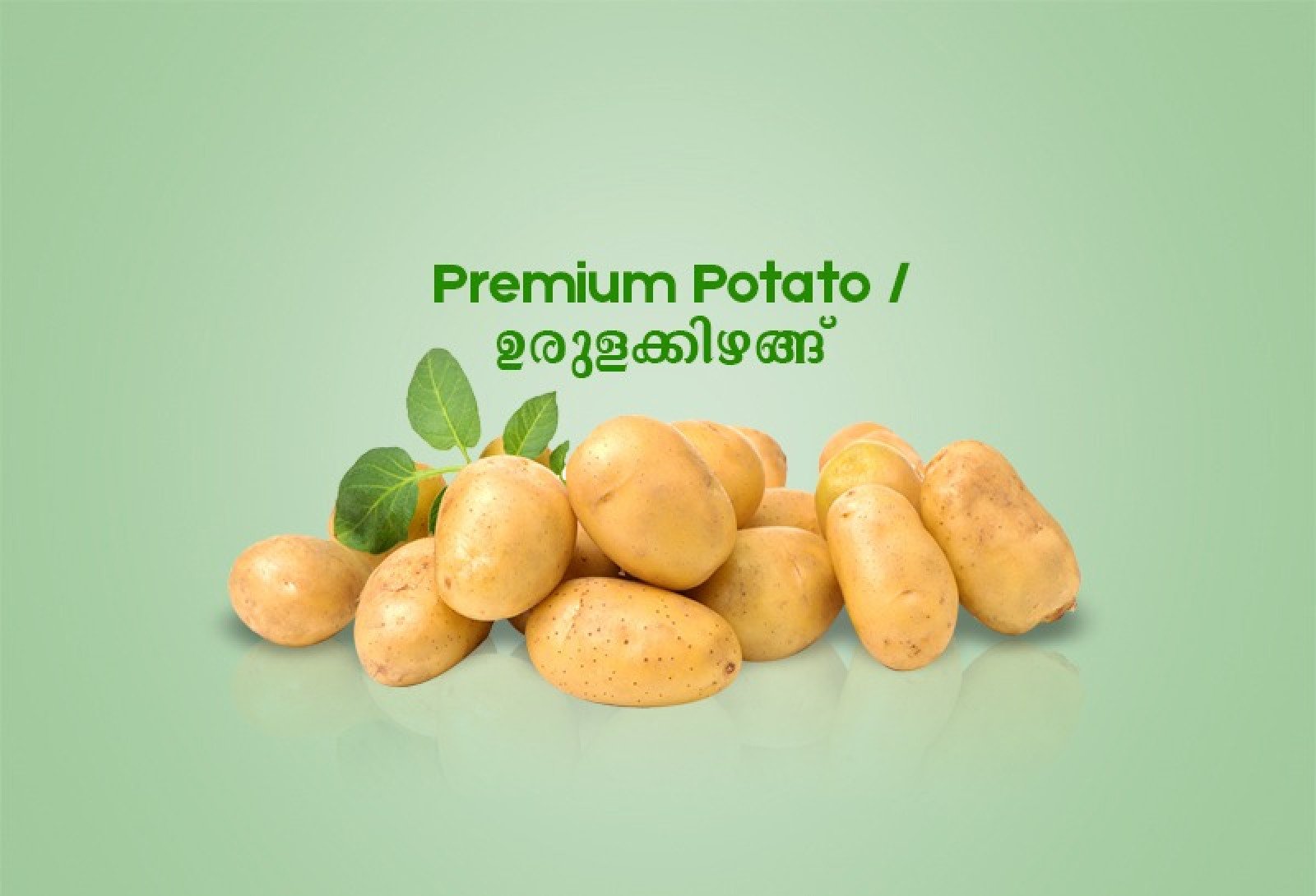 Premium Potato / ഉരുളക്കിഴങ്ങ് - 500gm 